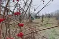 House 84 m² Ziabrauka, Belarus