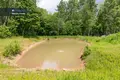 Dom 271 m² Dzierżaniszki, Litwa
