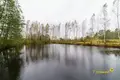 Commercial property 893 m² in Zviancatka, Belarus