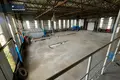 Gewerbefläche 1 135 m² in Hannusburg, Litauen