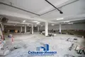 Warehouse 501 m² in Kirsy, Belarus
