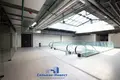 Propiedad comercial 721 m² en Minsk, Belarús