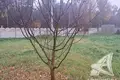 Grundstück  Znamienski sielski Saviet, Belarus