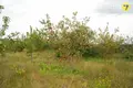 House 40 m² Damasycy, Belarus