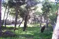 Земельные участки 1 комната  Municipality of Dionysos, Греция