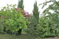 Dom wolnostojący 6 pokojów 160 m² Skotina, Grecja