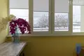 2 room apartment 62 m² in Stowbtsy District, Belarus