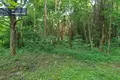 Atterrir  Gervenupis, Lituanie