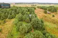 Дом 77 м² Raudondvaris, Литва