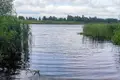 Дом 39 м² Борщёвский сельский Совет, Беларусь