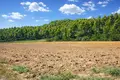 Atterrir 18 000 m² Kassandrino, Grèce