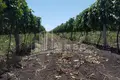 Działki 75 000 m² Tbilisi, Gruzja