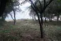 Investment  in Radovici, Montenegro