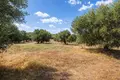 Parcelas 15 000 m² Kassandrino, Grecia