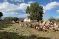 Villa mit 2 Schlafzimmern 150 m² Helechosa de los Montes, Spanien