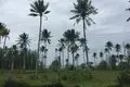 Atterrir  Phang Nga, Thaïlande