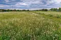 Mieszkanie 3 pokoi 59 m² Kopaszewo, Polska
