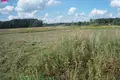 Land  Skarbinai, Lithuania