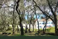 Land 1 room 7 000 m² Agios Dimitrios, Greece