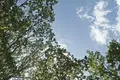 Жилой комплекс ЖК "1-й Измайловский"