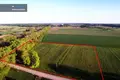 Działki  Gudulin, Litwa