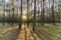 Mieszkanie 600 m² Oslonin, Polska