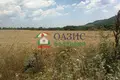 Gewerbefläche 19 018 m² Medovo, Bulgarien