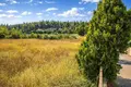 Atterrir 30 000 m² Kassandrino, Grèce