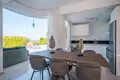 Вилла 3 спальни 164 000 м² в Пейе, Кипр