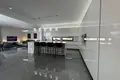 Appartement 4 chambres 230 m² en Parekklisia, Chypre