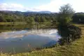 Atterrir 45 000 m² Tbilissi, Géorgie