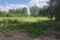 Land 4 700 m² Bogorodsky District, Russia