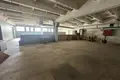 Produktion 3 000 m² in Minsk, Belarus
