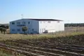 Вилла 5 спален 470 м² Ferreira do Alentejo, Португалия