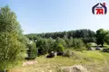 Dom wolnostojący 734 m² Svabski sielski Saviet, Białoruś