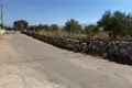 Parcelas  Region of Crete, Grecia