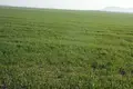 Land 1 room 200 000 m² Thermi Municipality, Greece