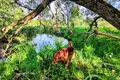 Дом 143 м² Гайненский сельский Совет, Беларусь