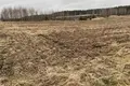 Grundstück 25 000 m² Promna Kolonia, Polen