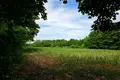 Parcelas 31 500 m² Buszewo, Polonia