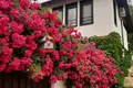Дом 3 комнаты 129 м² Goritsa, Болгария
