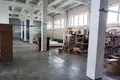 Fabrication 1 000 m² à Orcha, Bélarus