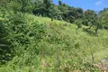 Land 1 250 m² Batumi, Georgia