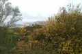 Земельные участки  Черногория, Черногория