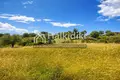Земельные участки 8 000 м² Неа Рода, Греция