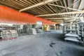Nieruchomości komercyjne 2 927 m² w Iecavas pagasts, Łotwa