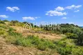 Земельные участки 11 000 м² Амолиани/Амулиани/Амульяни/Аммулияни, Греция