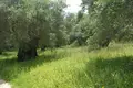 Земельные участки 1 комната  Дафната, Греция