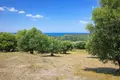 Parcelas 6 250 m² Kassandrino, Grecia