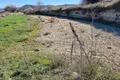Atterrir  Dora, Chypre